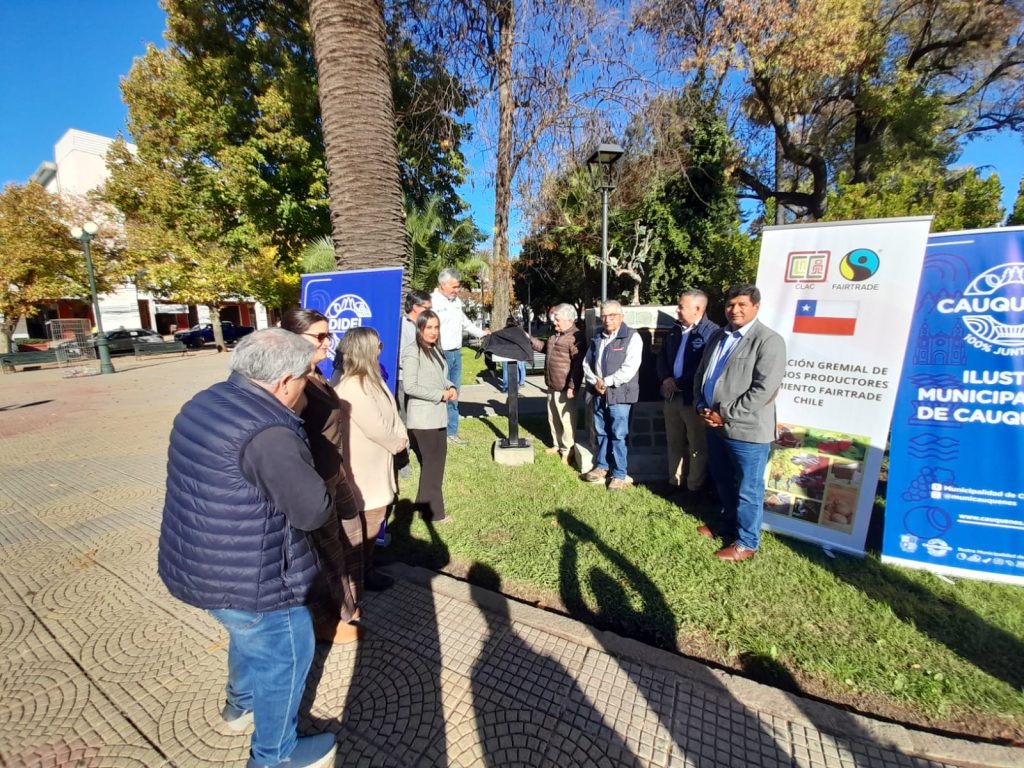 Comercio Justo en la Plaza de Armas de Cauquenes