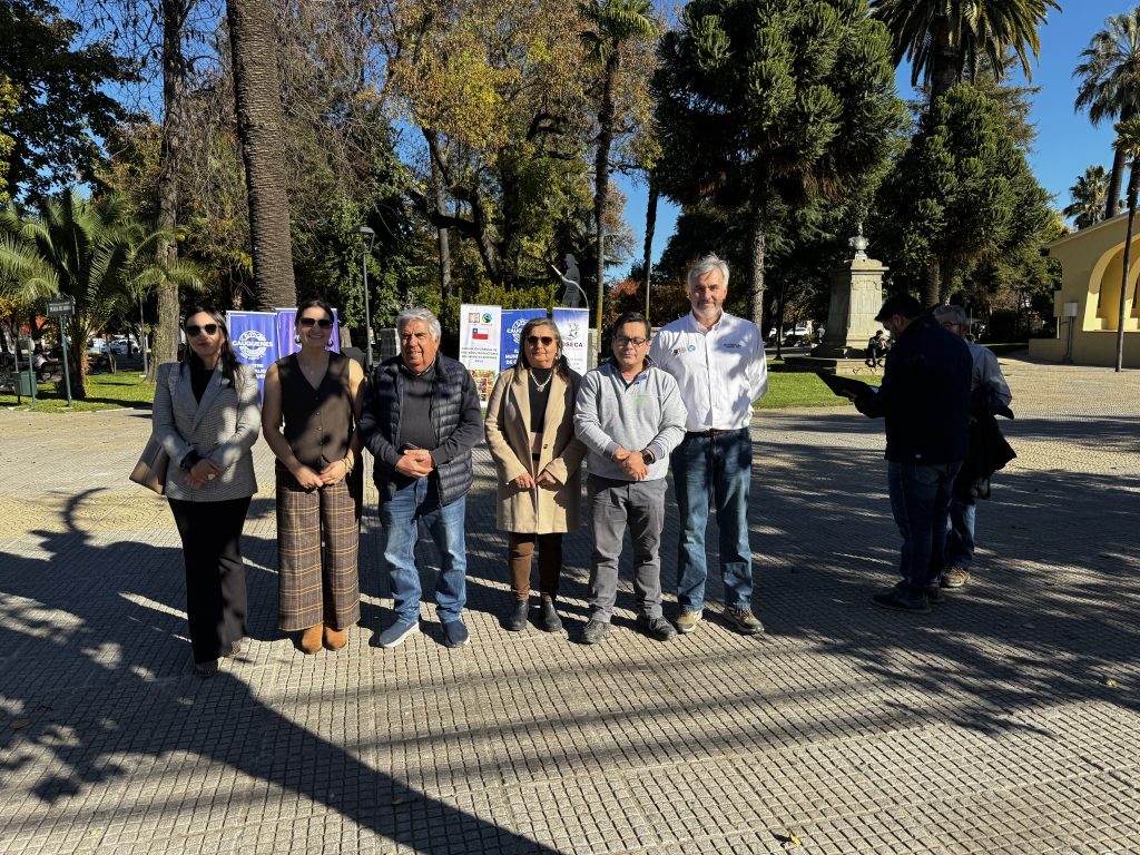 Comercio Justo en la Plaza de Armas de Cauquenes