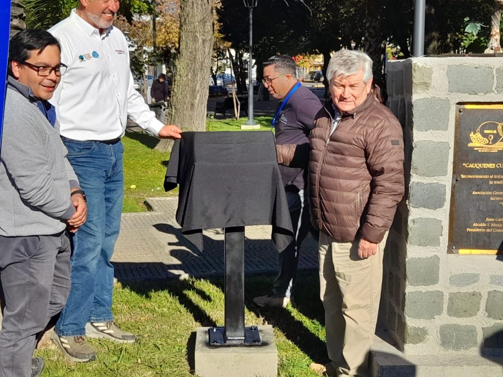 Comercio Justo en la Plaza de Armas de Cauquenes