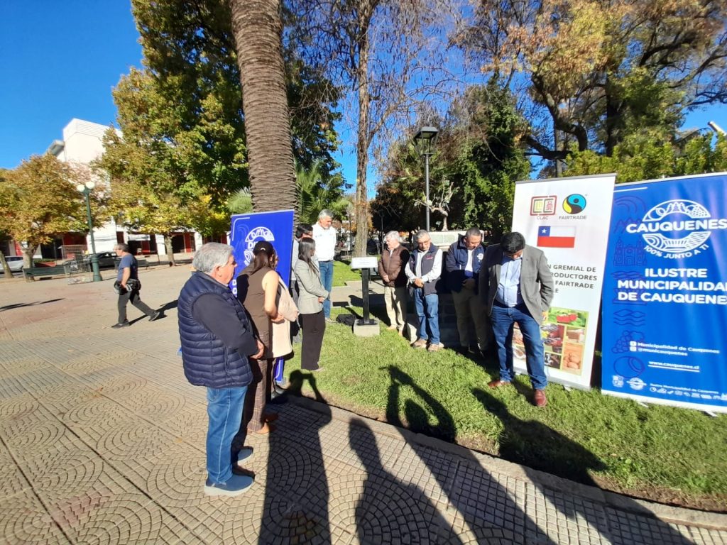 Comercio Justo en la Plaza de Armas de Cauquenes