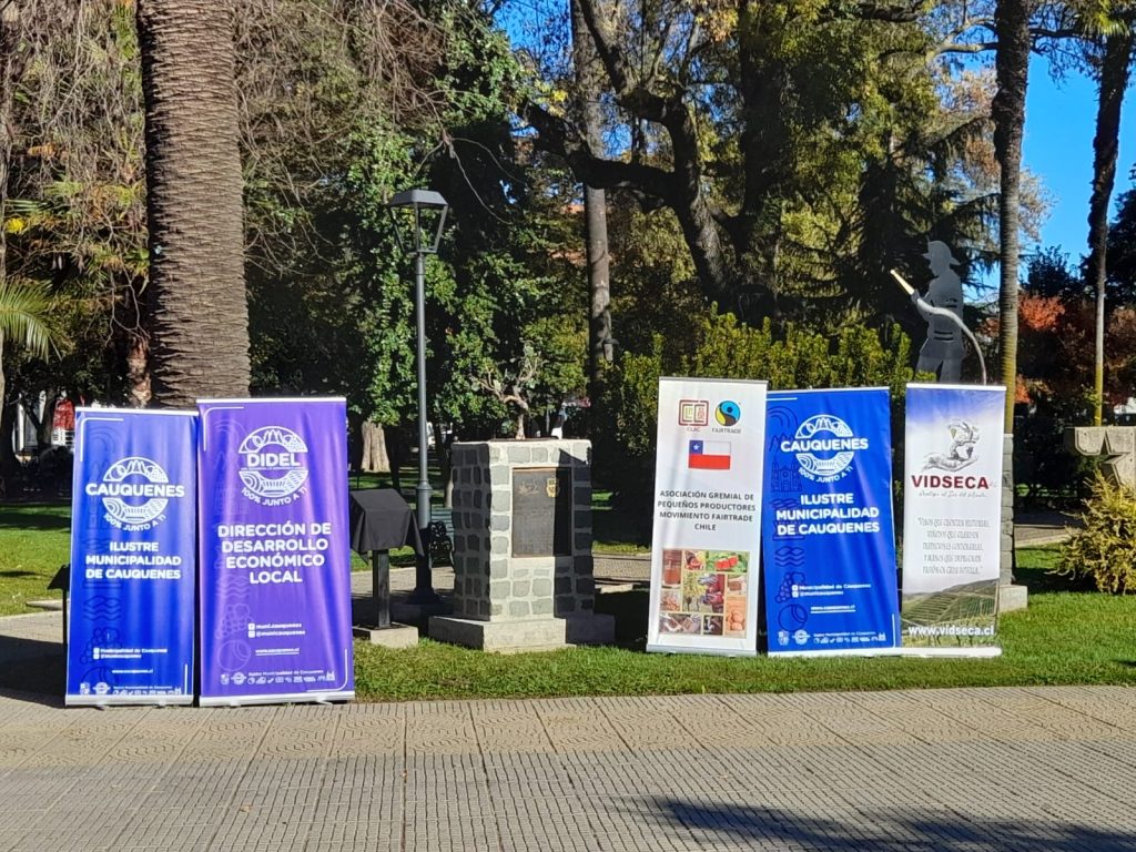 Comercio Justo en la Plaza de Armas de Cauquenes